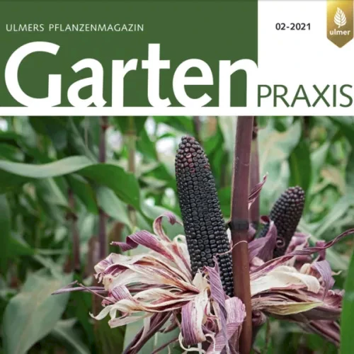 Magazine Garten Praxis