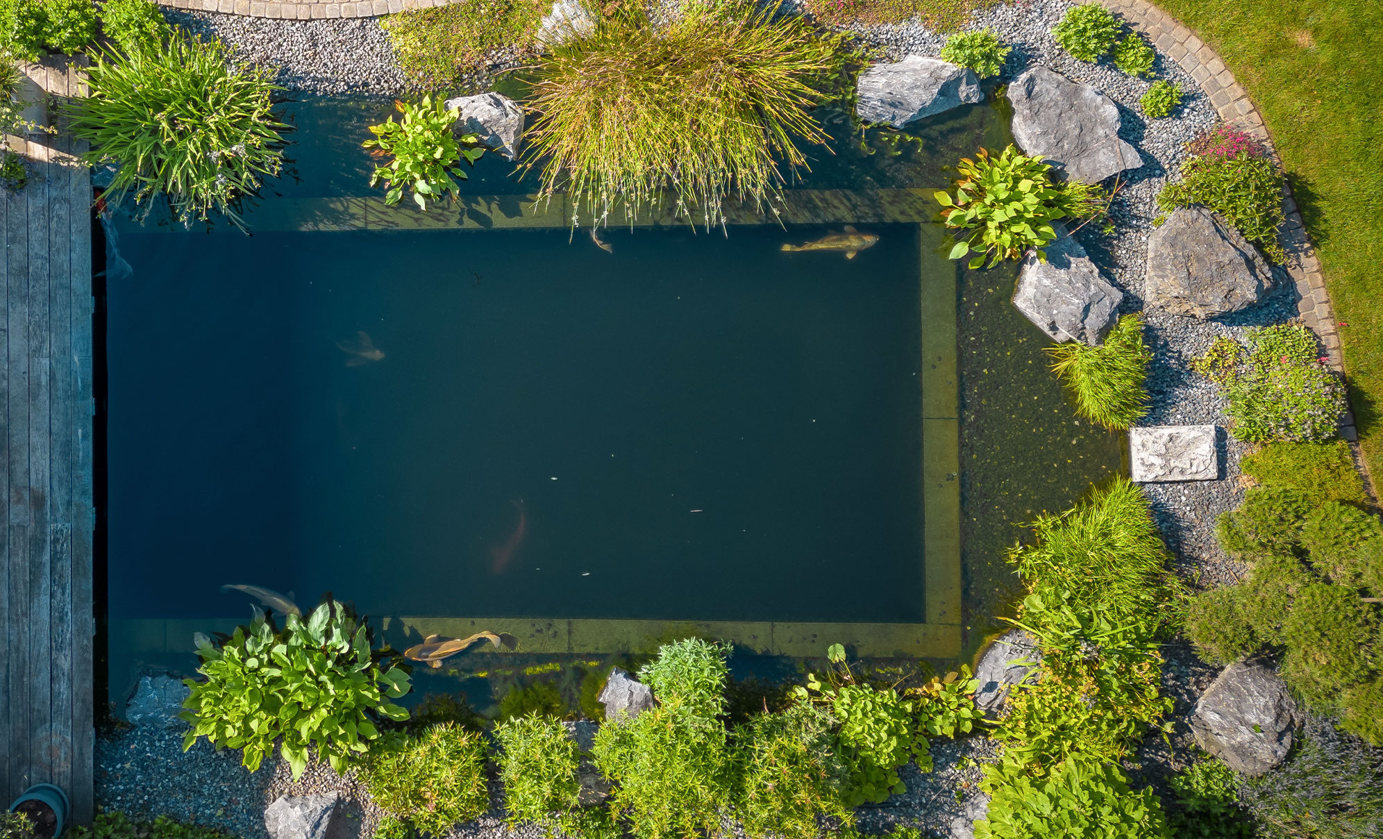 Aerial view of a rectangular garden pond surrounded by lush vegetation, rocks, and gravel paths, with fish visible swimming in the clear water.
